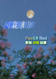 窥探小说