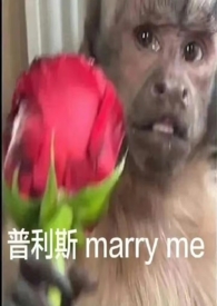 张湾村老年食堂