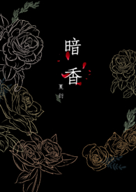 《暗香》女声版完整歌词