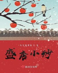 盛唐小京都门票价格